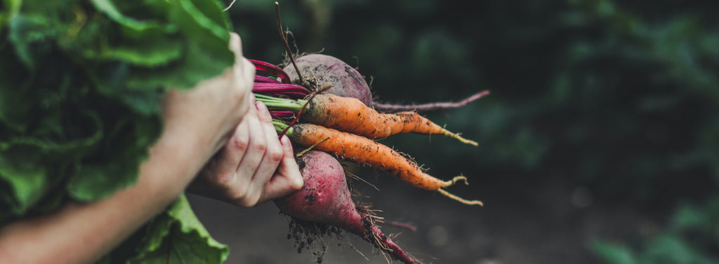 Organic Food – Is it Worth Your Money?