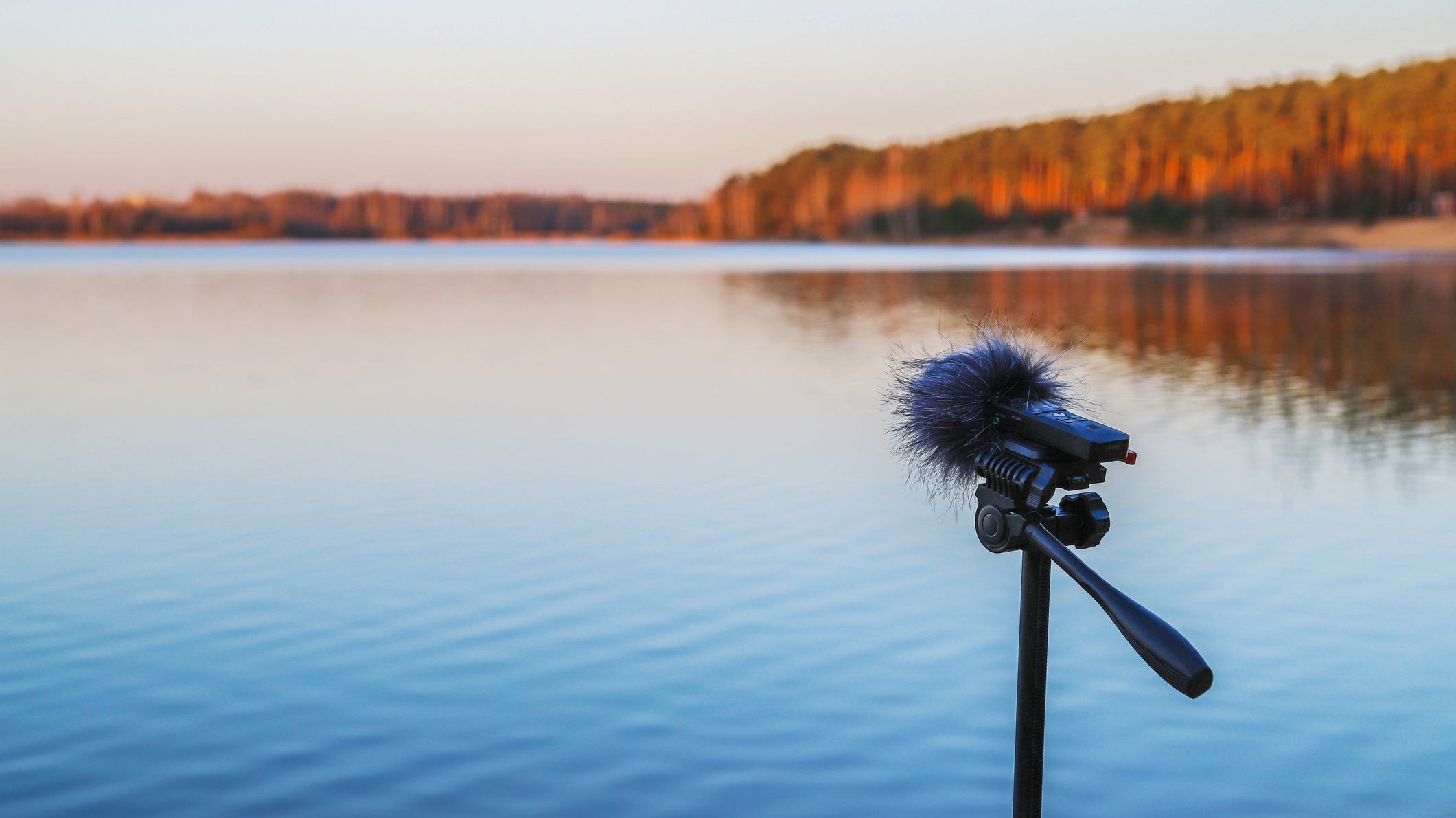 The Science of Sound: How Biophilic Soundscapes Are Improving Health, Focus, and Recovery