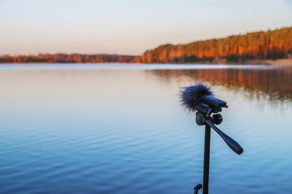 The Science of Sound: How Biophilic Soundscapes Are Improving Health, Focus, and Recovery